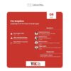 YEx Inspires - Leadership for All: The Power of Gender Equity - Image 2